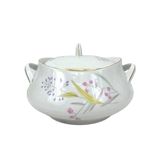 Bohemian Vintage Porcelain Soup Tureen With Lid & Handles Floral Design White & - Picture 2 of 8